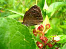 2007-07-07-09-38-50-img_2572.jpg