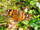 2007-08-26-12-34-47-img_3006.jpg