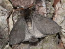 2008120527_MG_9006.jpg