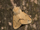 2008120527_MG_9121.jpg
