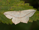 2009190544_MG_4304.jpg