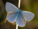 2009190544_MG_4499.jpg