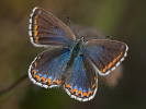 2009190544_MG_4535.jpg