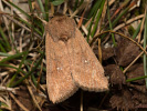 2010214351_MG_4977.jpg