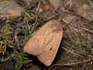 2010214351_MG_5102.jpg