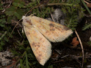 2010214351_MG_5157.jpg