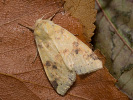 2010214351_MG_5290.jpg