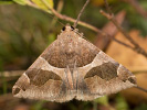 2010214351_MG_5303.jpg