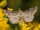 2011102351_MG_3257.jpg