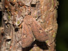 2011102351_MG_3262.jpg