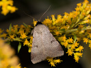 2011102351_MG_3284.jpg