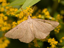 2011102351_MG_3348.jpg