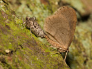 201180604_MG_6697.jpg
