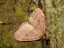 201180604_MG_6718.jpg