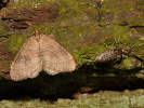 201180604_MG_6732.jpg