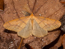 201180604_MG_6764.jpg