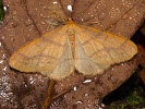 201180604_MG_6774.jpg