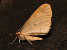 201180604_MG_6799.jpg