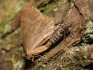 201180604_MG_6808.jpg