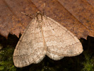 201180604_MG_6871.jpg