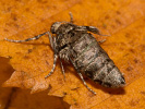 201180604_MG_6880.jpg