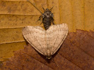 201180604_MG_6922.jpg