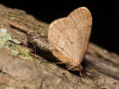 201180604_MG_6937.jpg