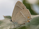 2012202619_MG_0013.jpg