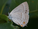 2012202619_MG_9774.jpg