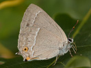 2012202619_MG_9877.jpg