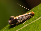 20261306203417_MG_4466.jpg