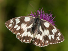 2108201130_MG_0004.jpg