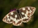 2108201130_MG_8565.jpg