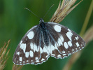 2108201130_MG_8758.jpg
