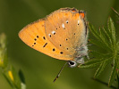 2108201130_MG_9297.jpg