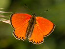 2108201130_MG_9414.jpg