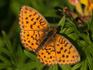2108201130_MG_9725.jpg