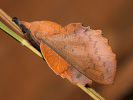 2110113030_MG_8628.jpg