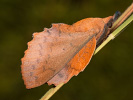 2110113030_MG_8650.jpg