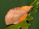2110113030_MG_8745.jpg