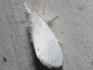 2210180820_MG_6425.jpg