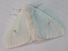 2210180820_MG_6466.jpg
