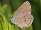 2508180609_MG_4969.jpg