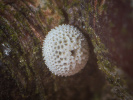 2603201232_MG_4882.jpg