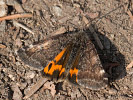 2803201226_MG_5547.jpg