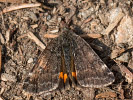 2803201226_MG_5553.jpg