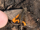 2803201226_MG_5688.jpg