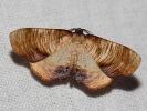 2805191319_MG_8956.jpg