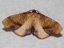 2905203316_MG_9153.jpg