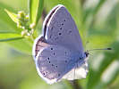 IMG_3552.jpg